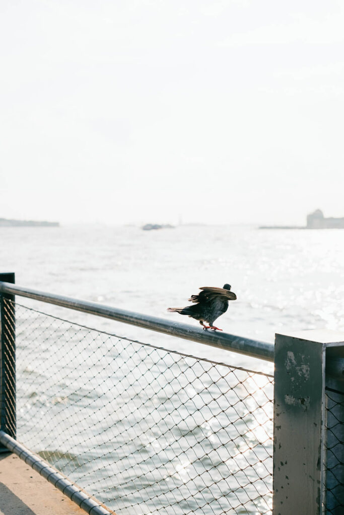 brooklyn engagement photos dumbo hotel romantic 10