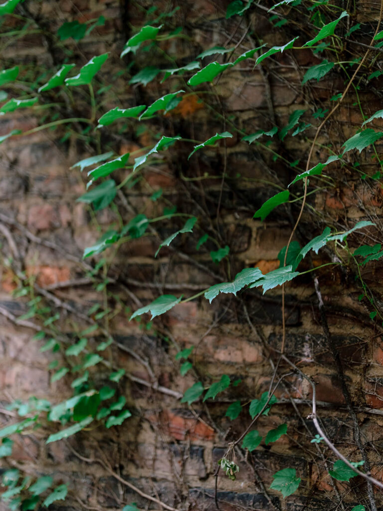 Authentic engagement party photography at Brooklyn garden venue celebration