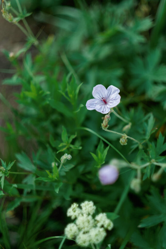 Park City mountain styled shoot