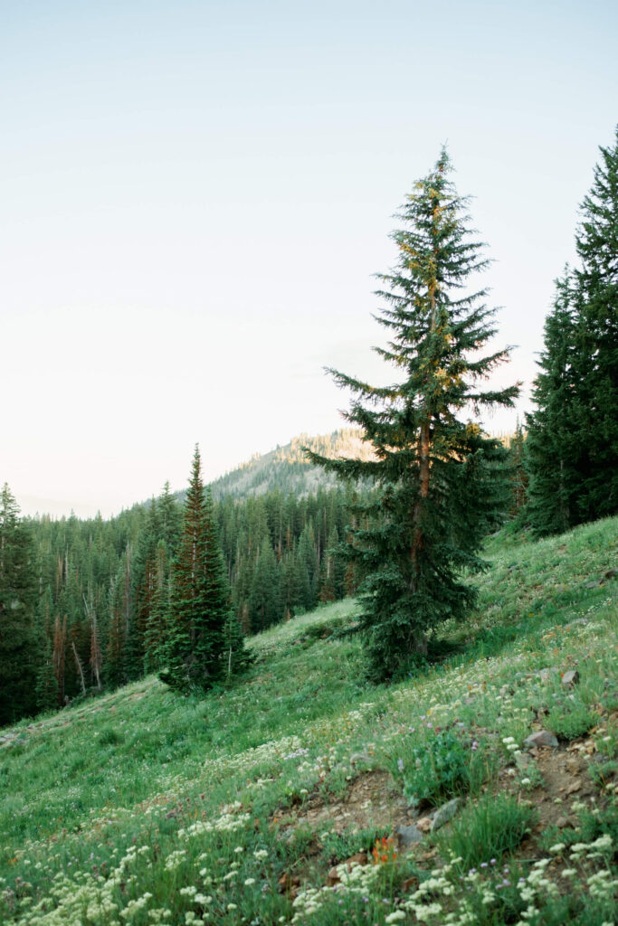 Park City mountain styled shoot