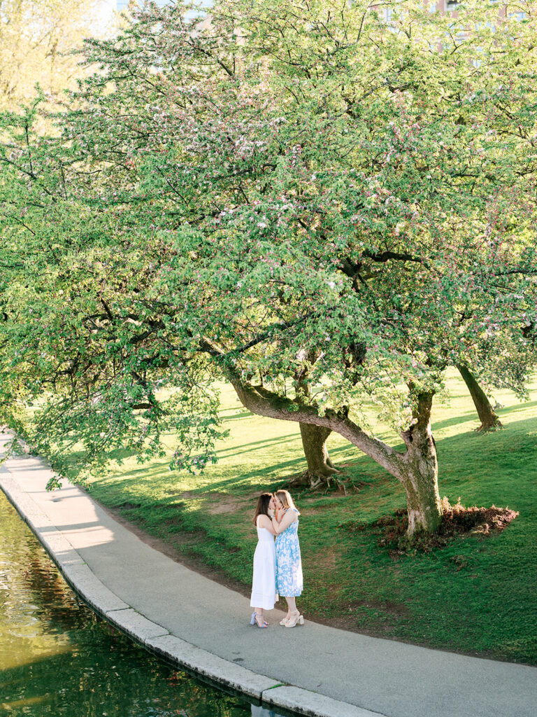 Engaged couple under flowering tree canopy Boston Public Garden lagoon vista