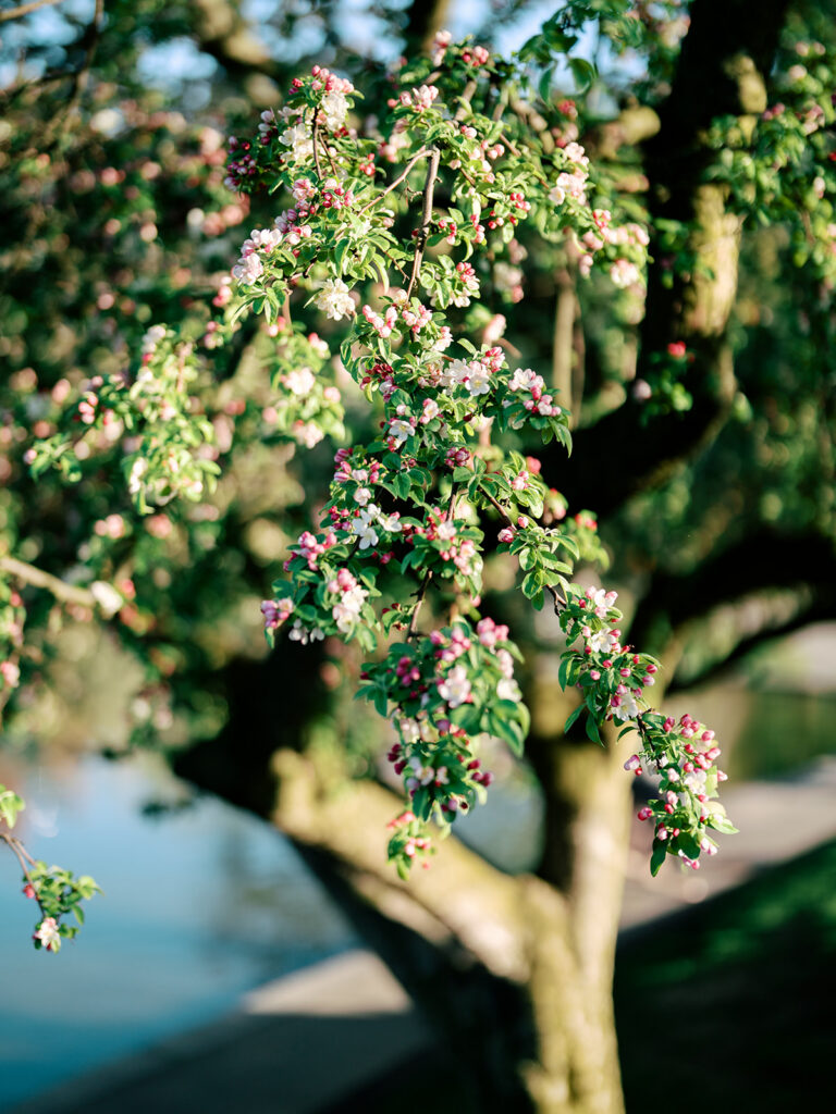 Two brides engagement session walking through South End Boston neighborhood streets