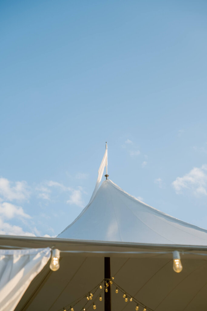 Bride and groom portrait among blue and white reception flowers in Bedford