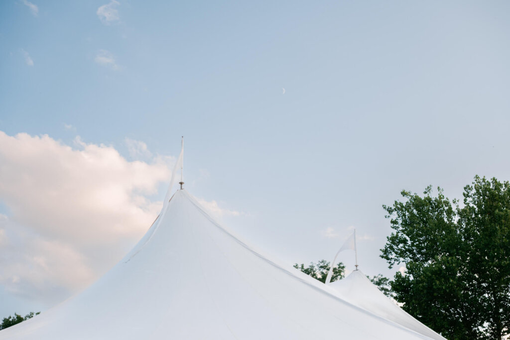 Bride and groom sunset portrait with veil in Bedford, New York