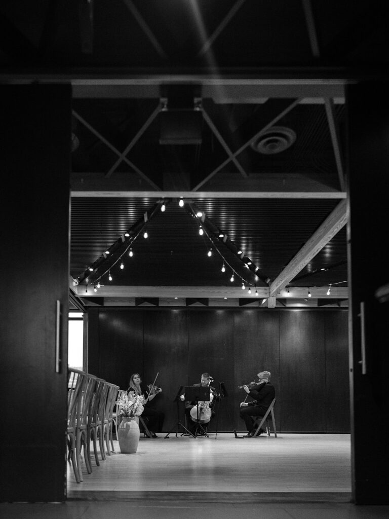 String quartet performing before a District Winery wedding ceremony