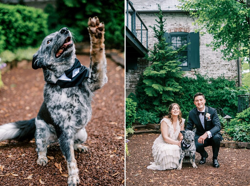first look with dog enchanting spring wedding at the carriage house of new hope